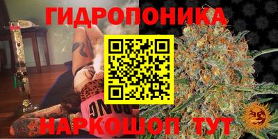 мескалин Славгород