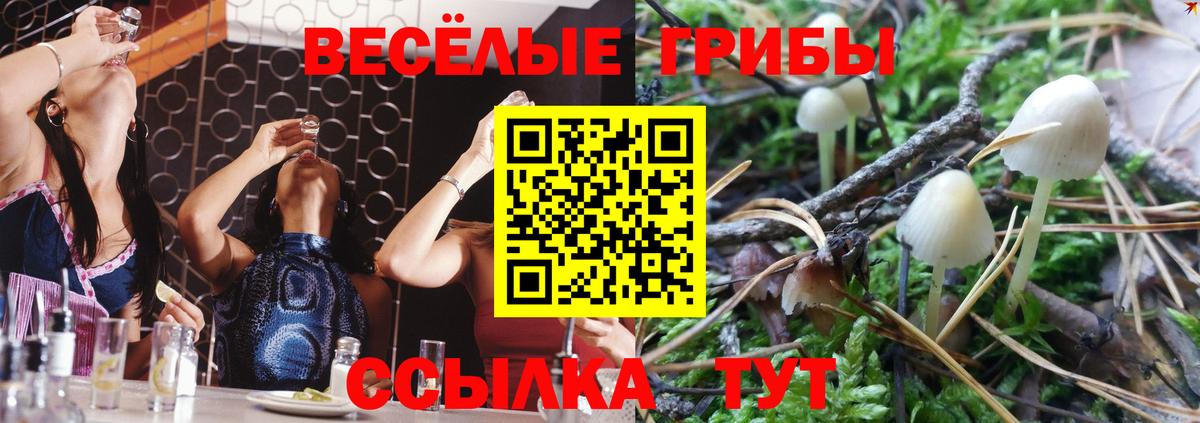 Галлюциногенные грибы ЛСД Новочеркасск