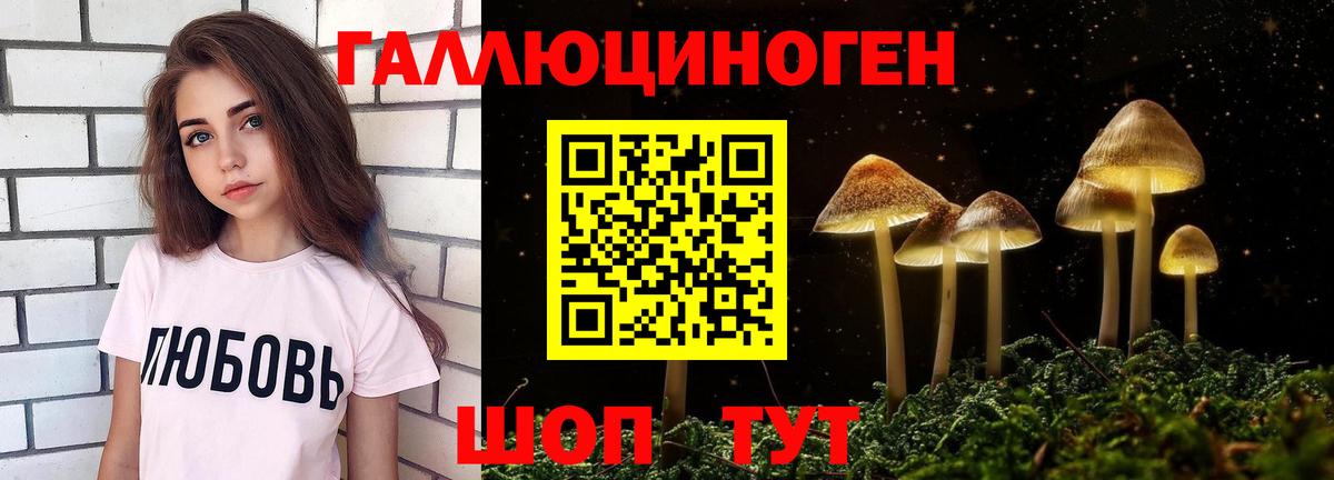 Псилоцибиновые грибы Psilocybe  Вход с VPN  Галлюциногенные грибы Magic Shrooms  Новочеркасск 